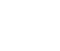 shape_1_4 2